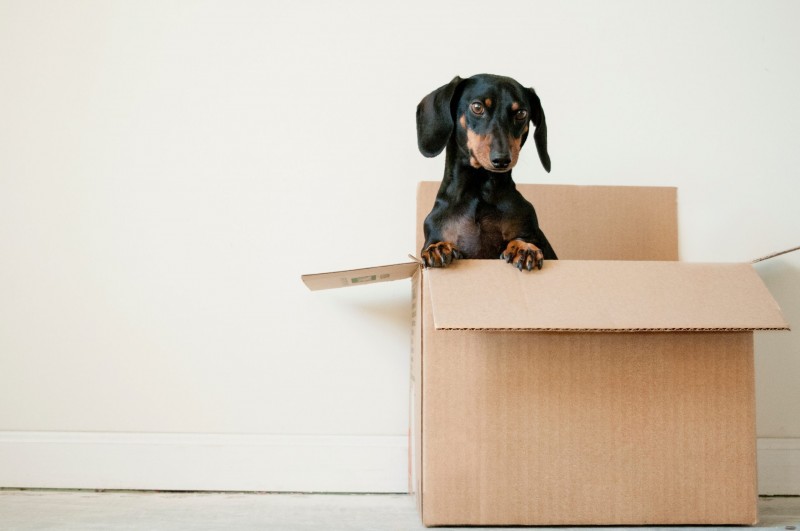 7 Tips For a Smooth House Move in Warrington